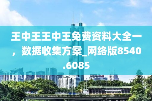 王中王王中王免费资料大全一，数据收集方案_网络版8540.6085