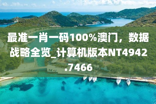 最准一肖一码100%澳门，数据战略全览_计算机版本NT4942.7466