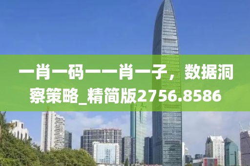 一肖一码一一肖一子，数据洞察策略_精简版2756.8586