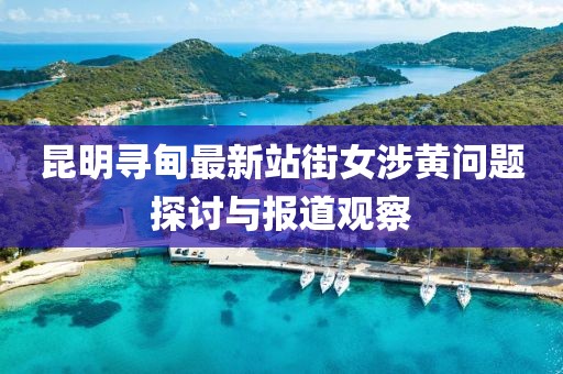 昆明寻甸最新站街女涉黄问题探讨与报道观察