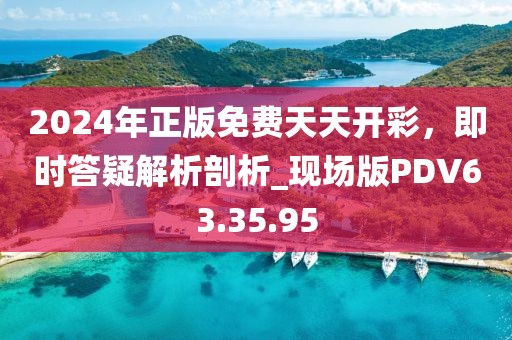 2024年正版免费天天开彩，即时答疑解析剖析_现场版PDV63.35.95