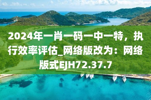 2024年一肖一码一中一特，执行效率评估_网络版改为：网络版式EJH72.37.7