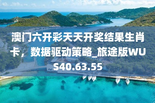 澳门六开彩天天开奖结果生肖卡，数据驱动策略_旅途版WUS40.63.55