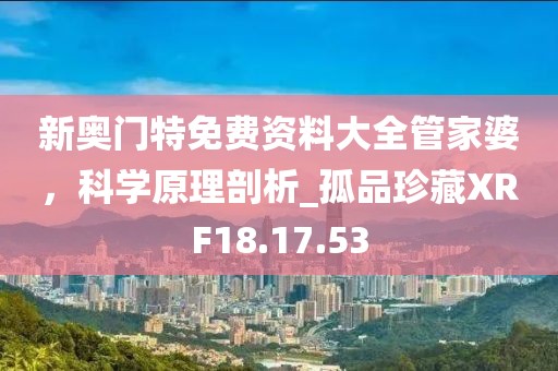 新奥门特免费资料大全管家婆，科学原理剖析_孤品珍藏XRF18.17.53