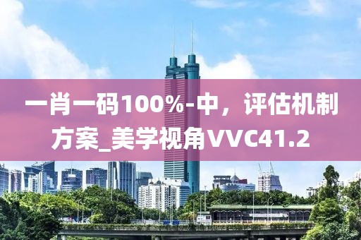 一肖一码100%-中，评估机制方案_美学视角VVC41.2