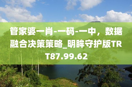 管家婆一肖-一码-一中，数据融合决策策略_明眸守护版TRT87.99.62