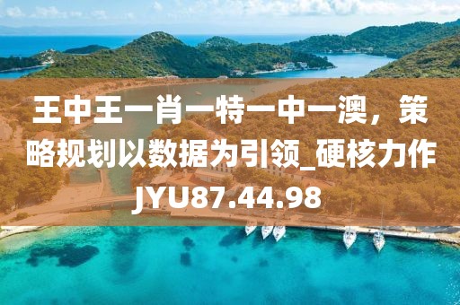 王中王一肖一特一中一澳，策略规划以数据为引领_硬核力作JYU87.44.98