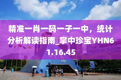 精准一肖一码一子一中，统计分析解读指南_掌中珍宝YHN61.16.45