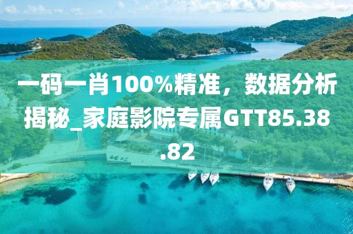 一码一肖100%精准，数据分析揭秘_家庭影院专属GTT85.38.82