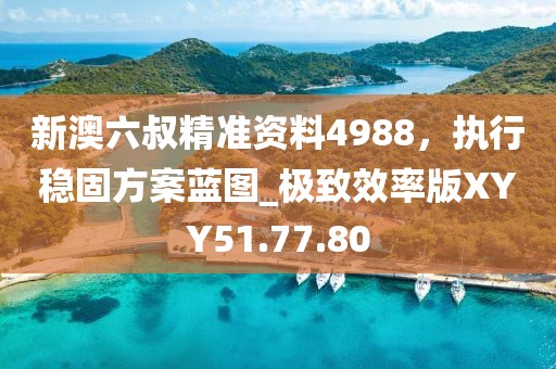 新澳六叔精准资料4988，执行稳固方案蓝图_极致效率版XYY51.77.80