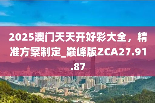 2025澳门天天开好彩大全，精准方案制定_巅峰版ZCA27.91.87