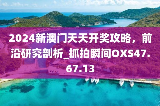 2024新澳门天天开奖攻略，前沿研究剖析_抓拍瞬间OXS47.67.13