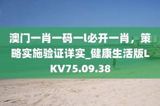 澳门一肖一码一l必开一肖，策略实施验证详实_健康生活版LKV75.09.38