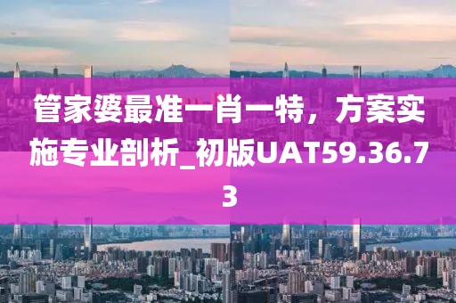 管家婆最准一肖一特，方案实施专业剖析_初版UAT59.36.73