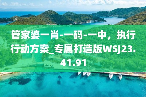 管家婆一肖-一码-一中，执行行动方案_专属打造版WSJ23.41.91