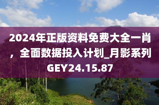 2024年正版资料免费大全一肖，全面数据投入计划_月影系列GEY24.15.87