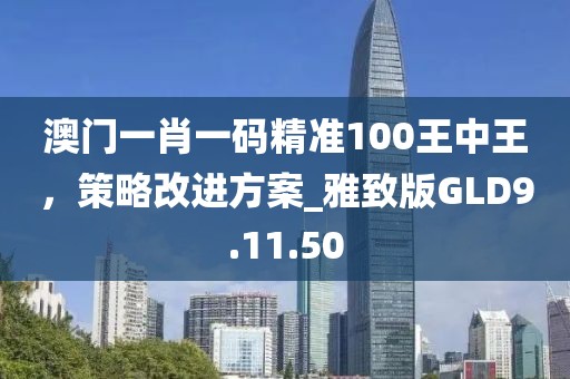 澳门一肖一码精准100王中王，策略改进方案_雅致版GLD9.11.50