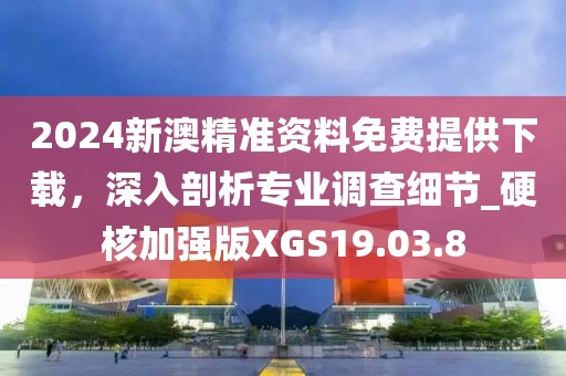 2024新澳精准资料免费提供下载，深入剖析专业调查细节_硬核加强版XGS19.03.8