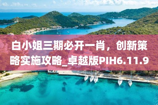 白小姐三期必开一肖，创新策略实施攻略_卓越版PIH6.11.9