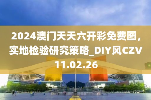 2024澳门天天六开彩免费图，实地检验研究策略_DIY风CZV11.02.26