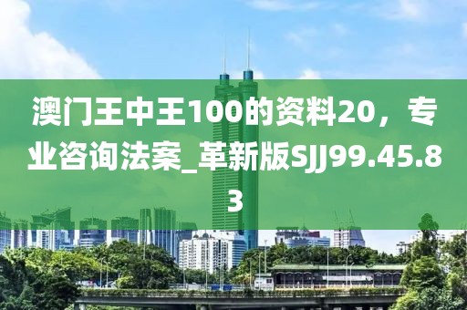 澳门王中王100的资料20，专业咨询法案_革新版SJJ99.45.83