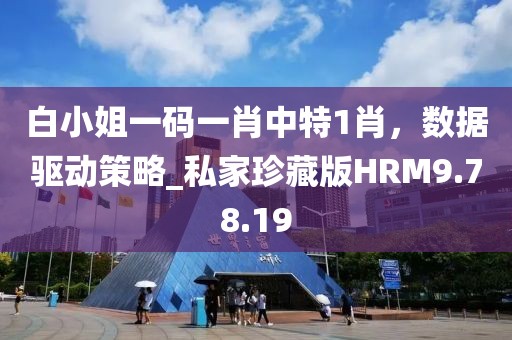 白小姐一码一肖中特1肖，数据驱动策略_私家珍藏版HRM9.78.19
