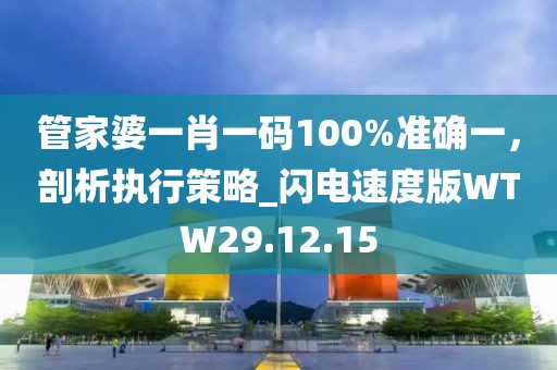 管家婆一肖一码100%准确一，剖析执行策略_闪电速度版WTW29.12.15