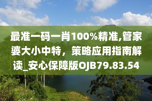 最准一码一肖100%精准,管家婆大小中特，策略应用指南解读_安心保障版OJB79.83.54