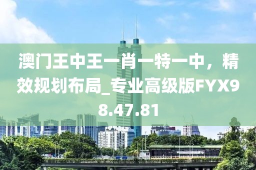 澳门王中王一肖一特一中，精效规划布局_专业高级版FYX98.47.81