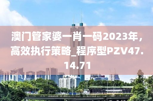澳门管家婆一肖一码2023年，高效执行策略_程序型PZV47.14.71
