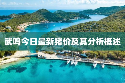 武鸣今日最新猪价及其分析概述