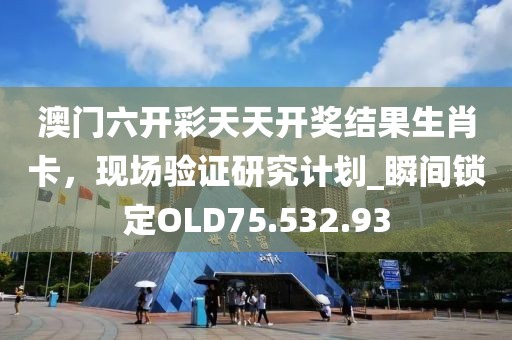 澳门六开彩天天开奖结果生肖卡，现场验证研究计划_瞬间锁定OLD75.532.93