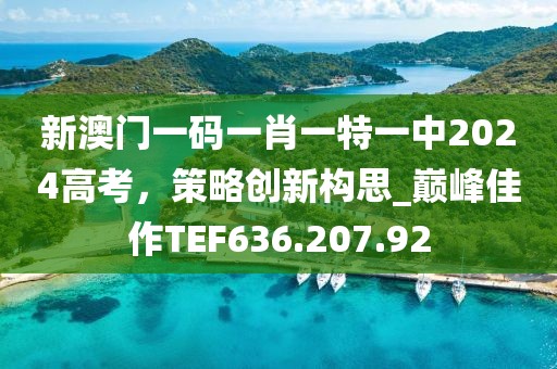 新澳门一码一肖一特一中2024高考，策略创新构思_巅峰佳作TEF636.207.92