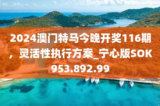 2024澳门特马今晚开奖116期，灵活性执行方案_宁心版SOK953.892.99