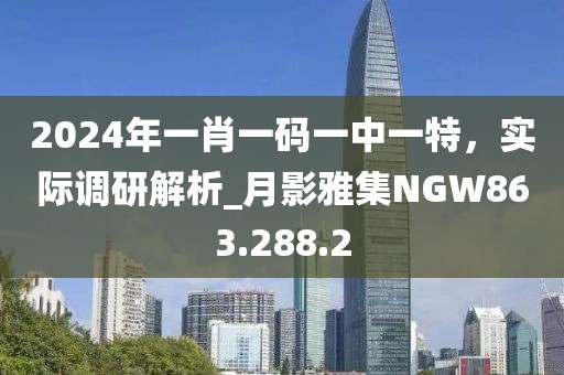 2024年一肖一码一中一特，实际调研解析_月影雅集NGW863.288.2