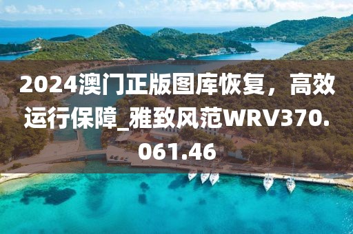 2024澳门正版图库恢复，高效运行保障_雅致风范WRV370.061.46