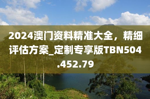 2024澳门资料精准大全，精细评估方案_定制专享版TBN504.452.79
