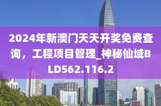 2024年新澳门天天开奖免费查询，工程项目管理_神秘仙域BLD562.116.2
