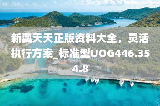 新奥天天正版资料大全，灵活执行方案_标准型UOG446.354.8
