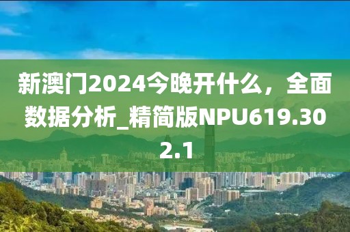 新澳门2024今晚开什么，全面数据分析_精简版NPU619.302.1
