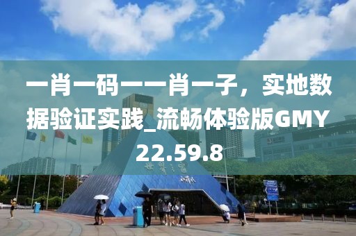 一肖一码一一肖一子，实地数据验证实践_流畅体验版GMY22.59.8