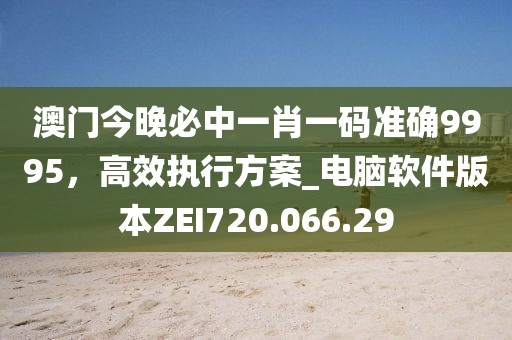 澳门今晚必中一肖一码准确9995，高效执行方案_电脑软件版本ZEI720.066.29