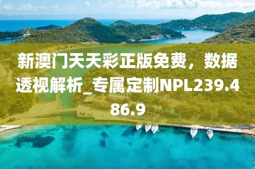 新澳门天天彩正版免费，数据透视解析_专属定制NPL239.486.9