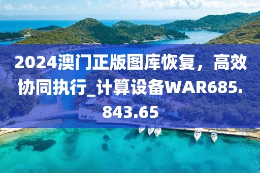 2024澳门正版图库恢复，高效协同执行_计算设备WAR685.843.65