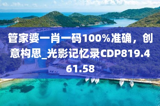 管家婆一肖一码100%准确，创意构思_光影记忆录CDP819.461.58