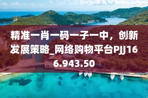 精准一肖一码一子一中，创新发展策略_网络购物平台PJJ166.943.50