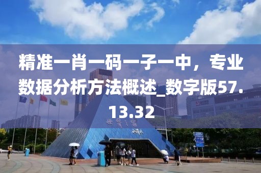 精准一肖一码一子一中，专业数据分析方法概述_数字版57.13.32