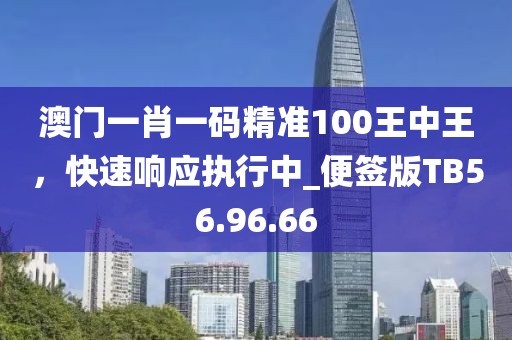 澳门一肖一码精准100王中王，快速响应执行中_便签版TB56.96.66