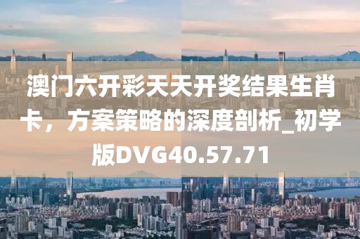 澳门六开彩天天开奖结果生肖卡，方案策略的深度剖析_初学版DVG40.57.71