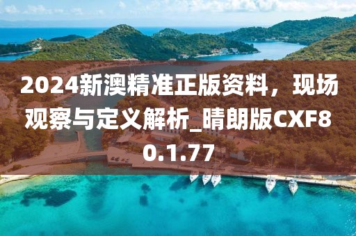 2024新澳精准正版资料，现场观察与定义解析_晴朗版CXF80.1.77